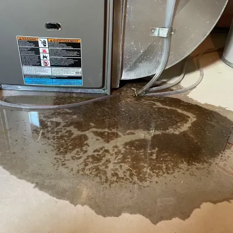 Appliance Leak Cleanup in Grimsley, TN